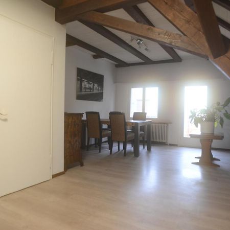 Appartements Am Bodensee Naehe Konstanz Ermatingen Dış mekan fotoğraf